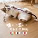  кошка .. игрушка безопасность кошка .... трос шнурок шнур кусание есть актинидия крепкий крепкий тихий звук -тактный отсутствует аннулирование кошка для игрушка 