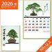  2026 8ǯ ̾ ɳݤ  ڰ NK-91