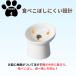 �t�[�h�{�[�� �L�p�H�� �y�b�g�p�t�[�h�{�E�� �L �� ���� ������� �y�b�g �H�� �M �O�b�Y ���� �a �a���� �˂� ���� �֘A�摜4
