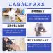 �W�F���N�b�V���� �ᔽ�� �֎q�p ���� �Q���N�b�V���� �� �ʋC�� ���� ����Ȃ� �N�b�V���� ���T�|�[�g �Ɍ� �ᔽ���N�b�V���� ���z�c ���� �I�t�B�X ���� �֘A�摜3