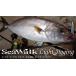 yamaga blank ssi- walk light jigging B66ML Bait модель YAMAGA Blanks SeaWalk Light Jigging Bait Model*