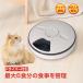  automatic feeder pet 6 meal minute stylish pet feeder auto feeder pet feeding machine pet accessories health control feeding machine timer automatic dog cat pt056