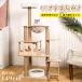  башня для кошки из дерева большой кошка для кошка tower тонкий .. класть кошка коготь .. космический корабль лен шнур гамак компактный -тактный отсутствует аннулирование много голова .... дом лестница кошка house sinia кошка 