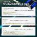 �\�[���[ LED ���C�g �[�d ���H�e �_�� �펞�_�� ���z�� �[�d 4�Z�b�g ����m�F �� ��� �����_�� �_�� �Ɩ� ���H�� ���ԏ� ���� �֘A�摜2