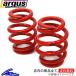  Largus RS. type springs 2 шт. комплект 62φ 8k свободный длина :160mm наружный диаметр :115mm LARGUS RS springs . type springs ID62 spring пружина амортизатор опция 