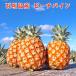  предварительный заказ распродажа 4 месяц сверху . отправка предположительно ананас фрукты фрукты Nankoku подарок День матери Okinawa префектура производство Ishigakijima производство pi-chi сосна 3 шар /6 шар сосна сельское хозяйство дом прямая поставка 