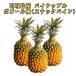  предварительный заказ распродажа 4 месяц средний . отправка предположительно ананас bo гол вид фрукты фрукты Nankoku подарок День матери Okinawa префектура производство Ishigakijima производство снэки сосна сосна сельское хозяйство дом прямая поставка 
