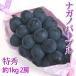 nagano лиловый примерно 1kg 2. Special превосходящий популярный . земля виноград бесплатная доставка 