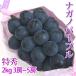nagano лиловый 2kg3~5. Special превосходящий популярный * тест вместе верх Class бесплатная доставка 