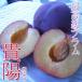 .. подарок на Bon Festival высший класс слива 2kg большой шар размер Shinshu производство 