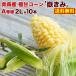  reservation beginning discount for early booking corn ...(. taste ) morning .. direct delivery from producing area Aomori prefecture production premium A etc. class 2L size 10 pcs insertion ×1 box ultimate . corn free shipping Y warehouse 