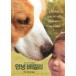 �ڹ���饷��A Dog's Journey / �ͤΥ����ե롦���㡼�ˡ��ס��ʾ��ʥ����ɡ�k6758��