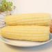 . corn maize 1 pcs rice‐flour dumplings rice . sphere rice 
