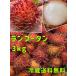 ランブータン Rambutan 3kg 冷蔵無料発送 メキシコ産