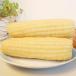  mochi corn corn 10 pcs set rice‐flour dumplings rice 