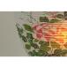 �~�� ���� �� No.21 �򕌒� LED �~���傤���� ���~ �� ���� ���{�� ���Y �M�t�g ���_�� �~�� �݂艺�� �֘A�摜4