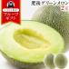 . после зеленый дыня 2 шар превосходящий товар 2L размер Kumamoto производство примерно 1.2kg и больше ×2 шар бесплатная доставка подарок подарок высококлассный ... .{7-14 предприятие дней в течение отправка предположительно ( суббота, воскресенье и праздничные дни за исключением )}
