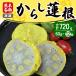  freezing mustard Karashi lotus root 12 piece entering ( snack renkon your order Kumamoto lotus .. snack piece packing )