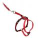  домашнее животное safe легкий walk кошка для Harness & банджи Lead M красный *EW-CH-M-RD-18
