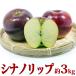  Nagano префектура производство si nano "губа" примерно 3kg(8~11 шар ) O-Bon проходить из отправка!!