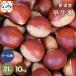 [ Ehime. каштан 2L10]* осенний тест .. верх беттер [ бесплатная доставка ][ подарок ][ тщательно отобранный товар ][ прямая поставка от производителя ] Ehime производство . сырой каштан 2L размер 10 kilo 