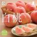 [ Yamagata белый персик есть перевод примерно 2kg]|.. аромат ... вдоволь ju-si-* предварительный заказ принимается |[ бесплатная доставка ][ прямая поставка от производителя ] Yamagata производство белый персик .. персик товар с некоторыми замечаниями 