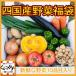 愛媛「四国産野菜福袋(10品目)」送料無料/ヤマト配送クール便(北海道エリア+1,296円,沖縄エリア+1,512円)
