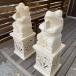 �Α� �V�R�� �p�X�^���hH40cm �J�G�� ���E�Z�b�g �K�[�f���I�u�W�F ��^ �Α�  ������� �G�N�X�e���A �K�[�f�� ��