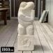 �o���� �Α� ���F��J�G�� H60cm �V�R�� �p���X �K�[�f���I�u�W�F �u�� �I�[�i�����g �� �Β��� �A�W�A��