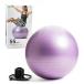 La-VIEla vi фитбол 55cm лиловый воздушный насос имеется 3B-4129 производитель оригинальный товар 