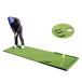 STORZONpating зеленый уличный Golf тренировка для pating коврик закрытый для 97CM×274CM