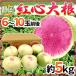  Shizuoka префектура ~. сердце дайкон ~ 6~10 шар передний и задний (до и после) примерно 5kg. сердцевина дайкон [ предварительный заказ 11 месяц последняя декада после ] бесплатная доставка 