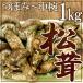 China производство ~ сосна .~ примерно 1kg...~ средний чашка размер случайный [ доставка день указание возможность ] бесплатная доставка 