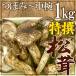  China производство ~ сосна .~ Special . примерно 1kg...~ средний чашка размер случайный [ доставка день указание возможность ] бесплатная доставка 