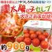  Kumamoto производство соль помидор ~ солнце. . Celeb ~ примерно 900g несессер сахар раз 8 раз и больше [ предварительный заказ 1 месяц после ] бесплатная доставка 