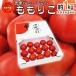  Tokushima префектура . гора сельское хозяйство . производство ~.. Berry помидор ....~ примерно 1kg S специальный отбор разряд размер случайный [ предварительный заказ 2 месяц последняя декада после ] бесплатная доставка 