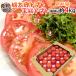  with translation ~ peach Taro tomato or king tomato another ~ approximately 4kg size incidental production ground carefuly selected [ reservation 5 month on . on and after ] free shipping 