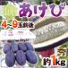  Yamagata префектура ~...~ превосходящий товар 4~9 шар передний и задний (до и после) примерно 1kg дерево через (akebi)[ предварительный заказ 9 месяц средний . после ] бесплатная доставка 