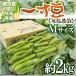  Kyushu * Wakayama production other ~ one size legume ( broad bean )~ M size approximately 2kg[ reservation 4 month on and after ] free shipping 