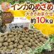  Hokkaido ~ in ka. ...~ есть перевод примерно 10kg размер случайный jagaimo[ предварительный заказ 9 конец месяца после ] бесплатная доставка 