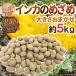 ~ Hokkaido in ka. ...~ есть перевод примерно 5kg размер случайный jagaimo[ предварительный заказ 9 конец месяца после ] бесплатная доставка 