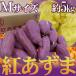  Chiba * Ibaraki prefecture production ~....~ M size approximately 5kg sweet potato [ reservation arrival sequence shipping ]