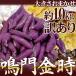  Tokushima prefecture production ~.. gold hour ~ with translation approximately 10kg size incidental sweet potato [ reservation arrival sequence shipping ]