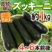  production ground carefuly selected ~ zucchini ~ preeminence goods 4~6ps.@ rom and rear (before and after) approximately 1kg