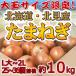 北海道 北見F1 ”たまねぎ” 秀品 約10kg 大玉L〜LLサイズ 玉葱【予約 8月末以降】 送料無料