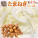 ~ лук репчатый ~ превосходящий товар L/2L размер примерно 10kg Kyushu * Сикоку *..* Hokkaido производство земля тщательно отобранный [ предварительный заказ поступление последовательность отправка ] бесплатная доставка 