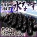  Osaka Izumi .~ water eggplant ~ 15~24 piece manner sack included approximately 4kg.. for quality ( etc. class A*B)[ reservation 3 month on and after ] free shipping 