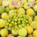 ~ Fukui производство удача futoshi Хара (.....)~ превосходящий товар L~3L примерно 2kg слива [ предварительный заказ 5 конец месяца после ] бесплатная доставка 