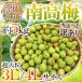  Nara * Wakayama производство ~ юг высота слива ~ немного есть перевод супер крупный 3L/4L примерно 5kg[ предварительный заказ 6 месяц первая декада после ] бесплатная доставка 
