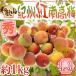 ~..* Wakayama производство . юг высота слива ~ превосходящий товар 2L~3L примерно 1kg{10 kilo и больше . покупка бесплатная доставка }[ предварительный заказ 5 месяц последняя декада после ]